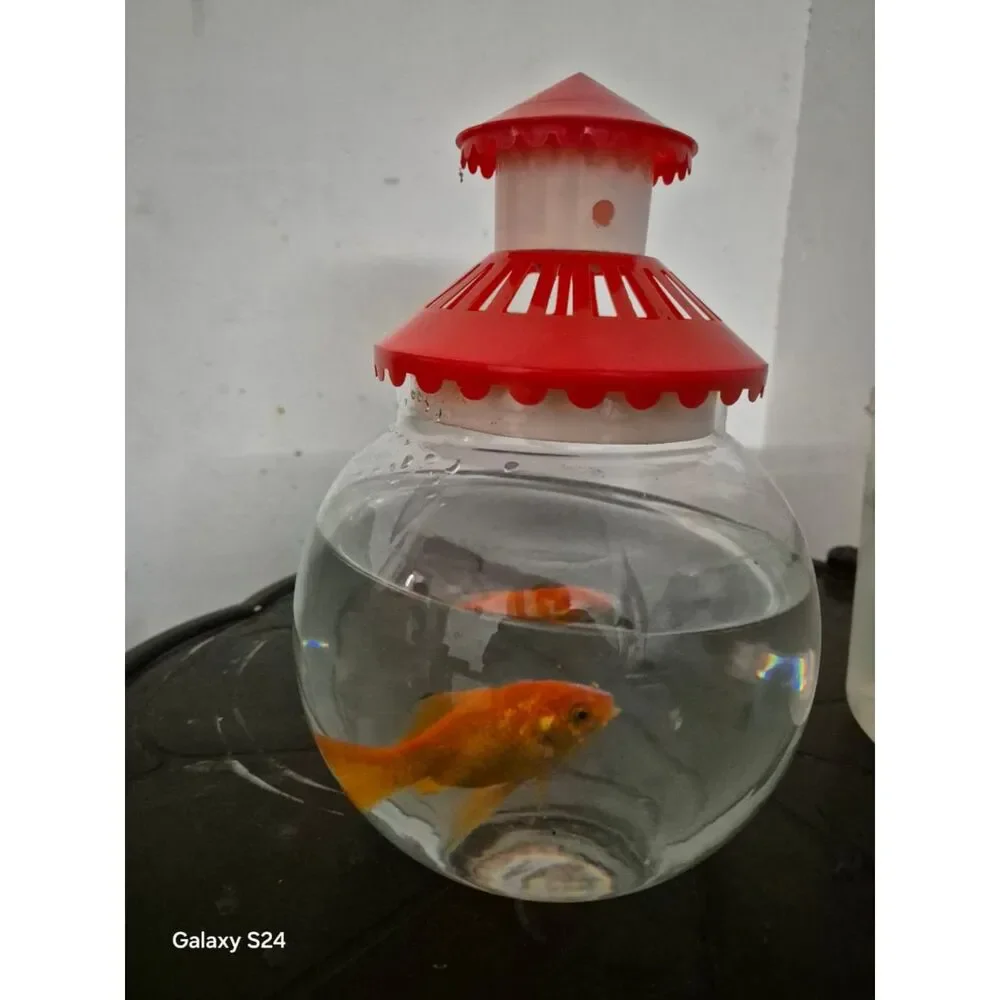 Elegant OvalShaped Glass Fish Bowl with Secure Red Cap Perfect for Home & Off